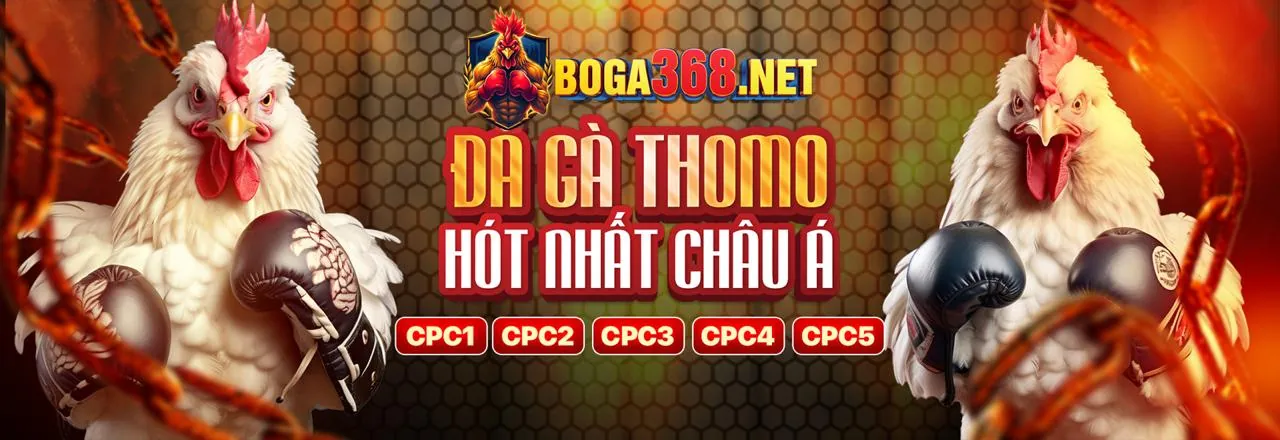 Đá gà trực tiếp tại 33win39 link vào